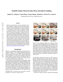 OmniSR: Shadow Removal under Direct and Indirect Lighting