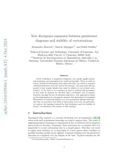 New divergence measures between persistence diagrams and stability of
  vectorizations
