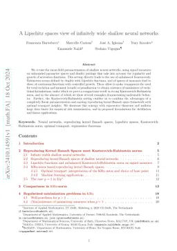 A Lipschitz spaces view of infinitely wide shallow neural networks