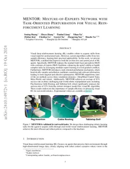 MENTOR: Mixture-of-Experts Network with Task-Oriented Perturbation for Visual Reinforcement Learning