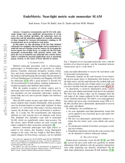 EndoMetric: Near-Light Monocular Metric Scale Estimation in Endoscopy