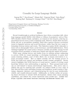 Causality for Large Language Models