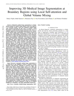 Improving 3D Medical Image Segmentation at Boundary Regions using Local
  Self-attention and Global Volume Mixing