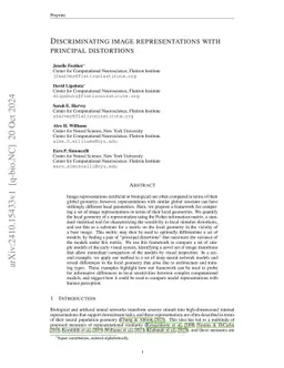 Discriminating image representations with principal distortions