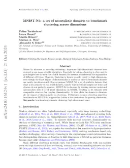 MNIST-Nd: a set of naturalistic datasets to benchmark clustering across
  dimensions