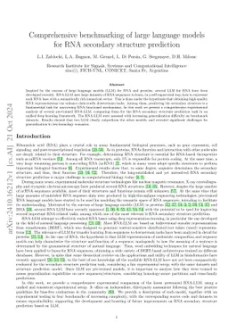 Comprehensive benchmarking of large language models for RNA secondary structure prediction