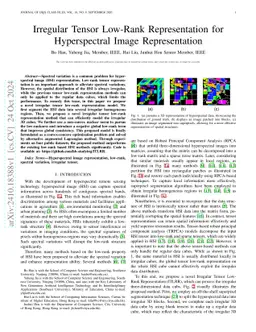 Irregular Tensor Low-Rank Representation for Hyperspectral Image Representation