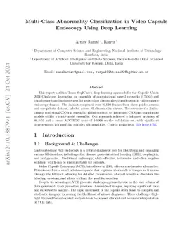 CapsoNet: A CNN-Transformer Ensemble for Multi-Class Abnormality Detection in Video Capsule Endoscopy