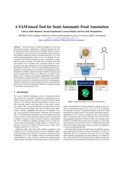A SAM based Tool for Semi-Automatic Food Annotation