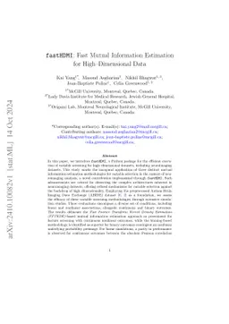 fastHDMI: Fast Mutual Information Estimation for High-Dimensional Data