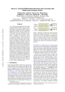 Medico: Towards Hallucination Detection and Correction with Multi-source
  Evidence Fusion