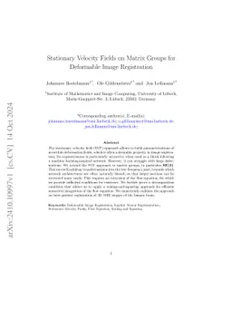 Stationary Velocity Fields on Matrix Groups for Deformable Image
  Registration