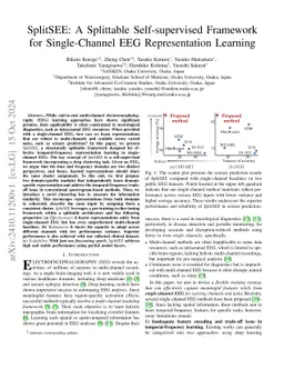 SplitSEE: A Splittable Self-supervised Framework for Single-Channel EEG
  Representation Learning