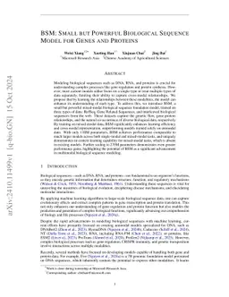 BSM: Small but Powerful Biological Sequence Model for Genes and Proteins