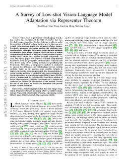 A Survey of Low-shot Vision-Language Model Adaptation via Representer
  Theorem