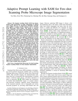 Adaptive Prompt Learning with SAM for Few-shot Scanning Probe Microscope
  Image Segmentation
