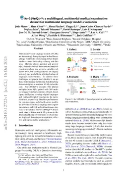 WorldMedQA-V: a multilingual, multimodal medical examination dataset for
  multimodal language models evaluation