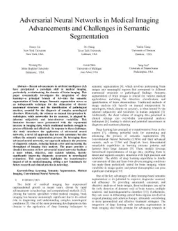 Adversarial Neural Networks in Medical Imaging Advancements and
  Challenges in Semantic Segmentation