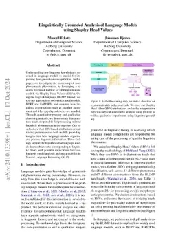 Linguistically Grounded Analysis of Language Models using Shapley Head Values