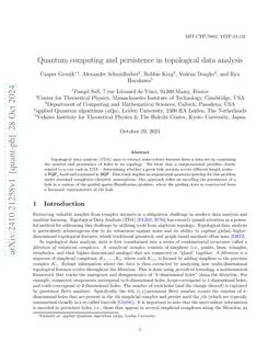 Quantum computing and persistence in topological data analysis