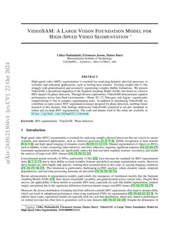 VideoSAM: A Large Vision Foundation Model for High-Speed Video Segmentation