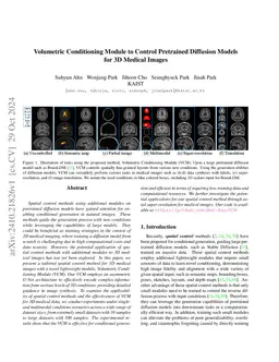 Volumetric Conditioning Module to Control Pretrained Diffusion Models
  for 3D Medical Images