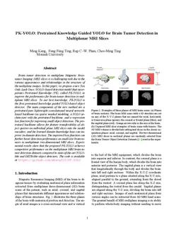 PK-YOLO: Pretrained Knowledge Guided YOLO for Brain Tumor Detection in Multiplanar MRI Slices
