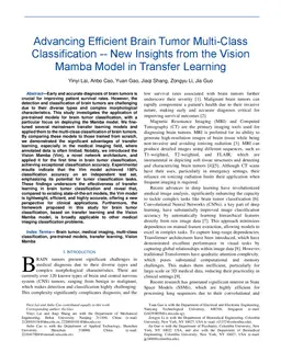 Advancing Efficient Brain Tumor Multi-Class Classification -- New
  Insights from the Vision Mamba Model in Transfer Learning
