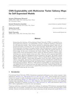 CNN Explainability with Multivector Tucker Saliency Maps for
  Self-Supervised Models