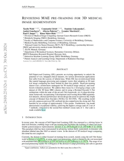 Revisiting MAE pre-training for 3D medical image segmentation