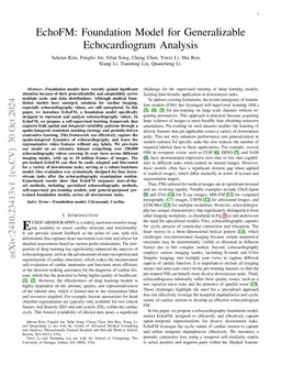 EchoFM: Foundation Model for Generalizable Echocardiogram Analysis