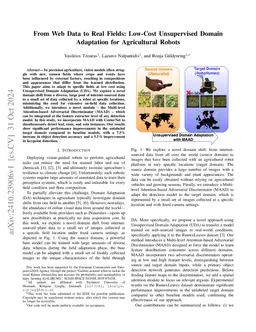 From Web Data to Real Fields: Low-Cost Unsupervised Domain Adaptation
  for Agricultural Robots