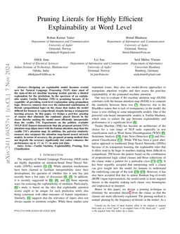 Pruning Literals for Highly Efficient Explainability at Word Level