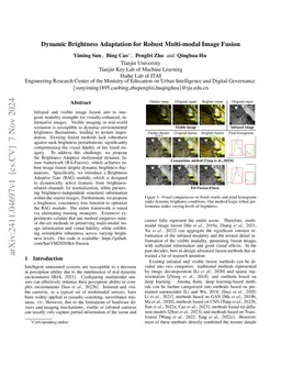 Dynamic Brightness Adaptation for Robust Multi-modal Image Fusion