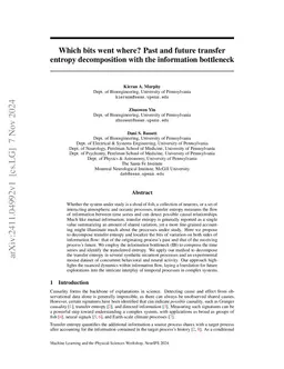 Which bits went where? Past and future transfer entropy decomposition
  with the information bottleneck