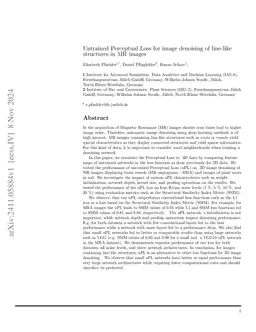 Untrained Perceptual Loss for image denoising of line-like structures in MR images