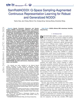 SamRobNODDI: Q-Space Sampling-Augmented Continuous Representation
  Learning for Robust and Generalized NODDI