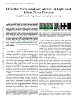 LFSamba: Marry SAM with Mamba for Light Field Salient Object Detection