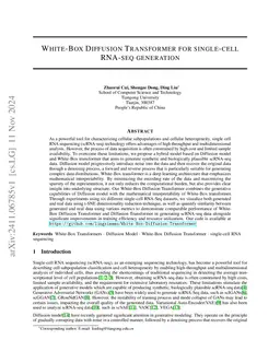 White-Box Diffusion Transformer for single-cell RNA-seq generation