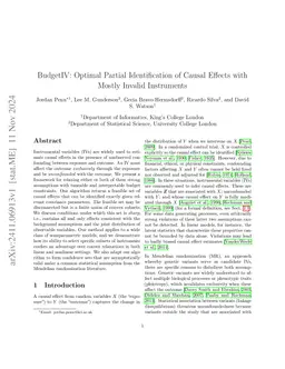 BudgetIV: Optimal Partial Identification of Causal Effects with Mostly
  Invalid Instruments