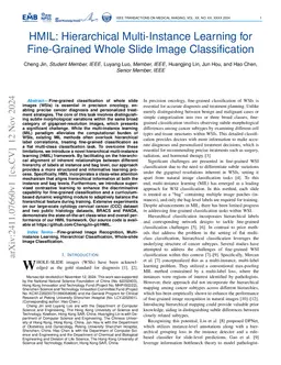 HMIL: Hierarchical Multi-Instance Learning for Fine-Grained Whole Slide Image Classification