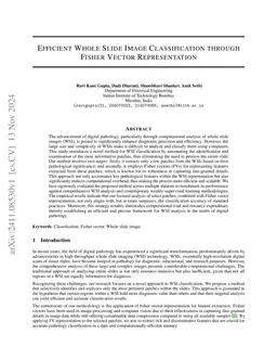 Efficient Whole Slide Image Classification through Fisher Vector
  Representation