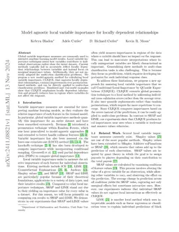 Conditional Local Importance by Quantile Expectations