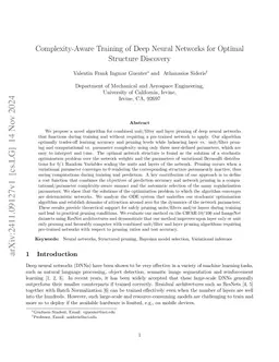 Complexity-Aware Training of Deep Neural Networks for Optimal Structure Discovery