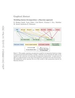 Modeling human decomposition: a Bayesian approach