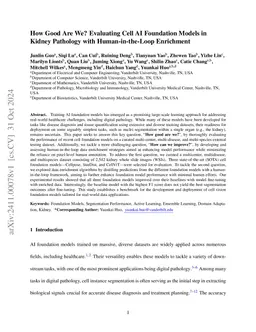 Evaluating Cell AI Foundation Models in Kidney Pathology with Human-in-the-Loop Enrichment