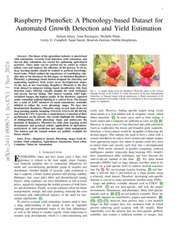 Raspberry PhenoSet: A Phenology-based Dataset for Automated Growth
  Detection and Yield Estimation