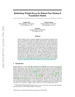 Rethinking Weight Decay for Robust Fine-Tuning of Foundation Models