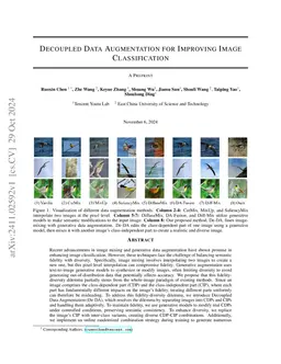Decoupled Data Augmentation for Improving Image Classification