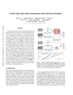 LiVOS: Light Video Object Segmentation with Gated Linear Matching